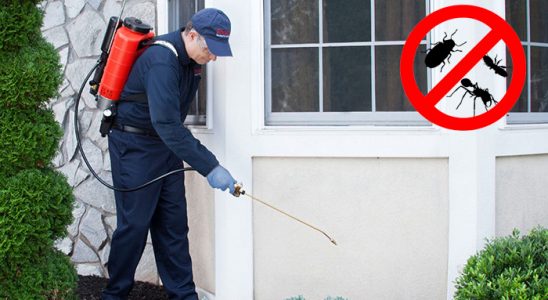 Muratlı Dezenfeksiyon böcek ilaçlama ve haşere kontrolü — ilaclama-tr.com